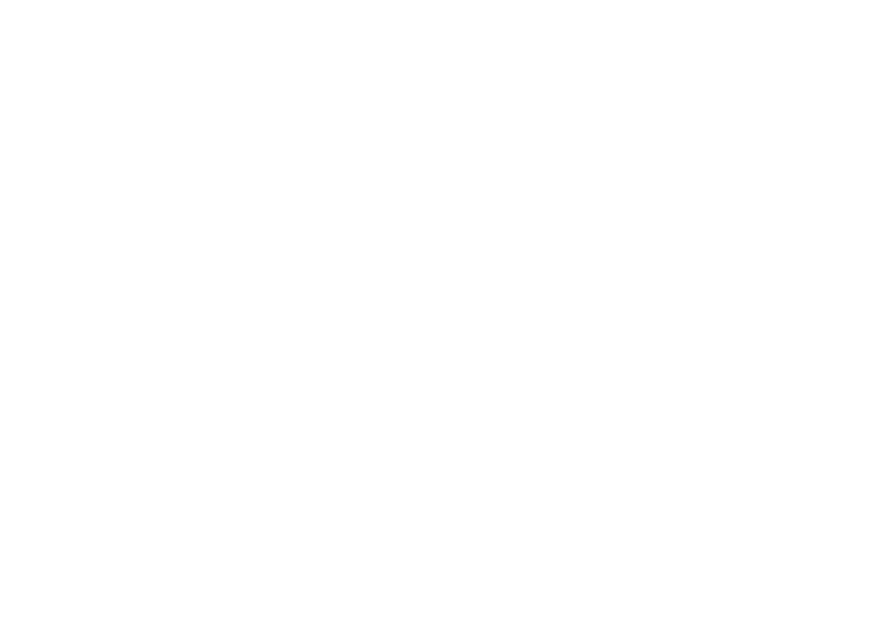 Fiber Compositi